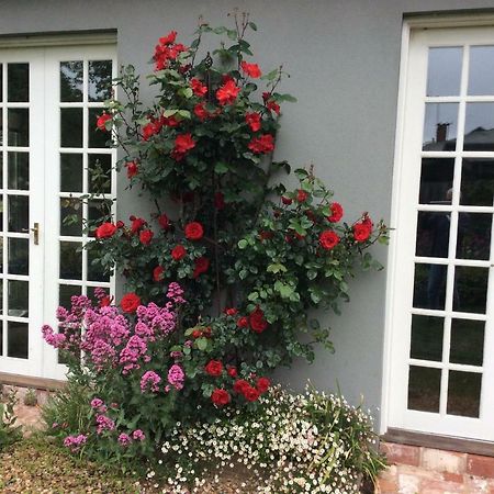 Hollyoak Bed & Breakfast Trentham Bagian luar foto